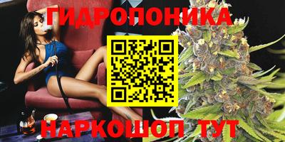 эйфоретик Нальчик