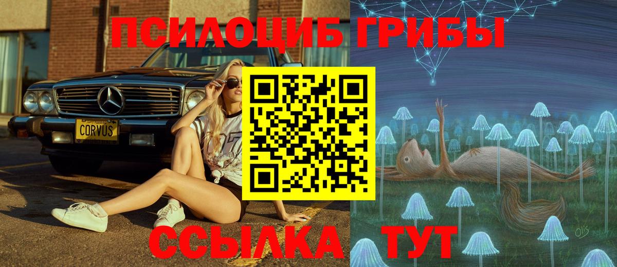 Галлюциногенные грибы Cubensis  Вход с VPN  Курган 